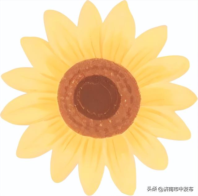 免票、半价！济南两家景区教师节活动！