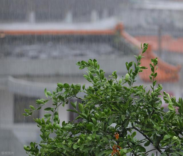 散文·中秋连云港 大雨润山河