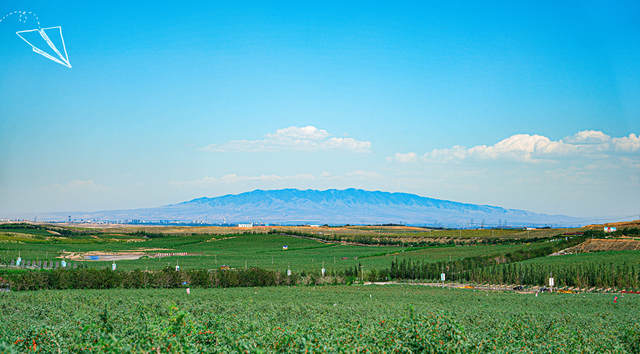 塞上江南 颐养宁夏丨中卫篇：品味杞乡风情，体验沙水相依的颐养之旅