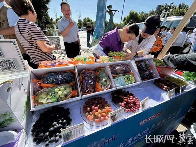 第九届河北省旅发大会 | 怀来以康养之韵与葡萄酒之美邀客来