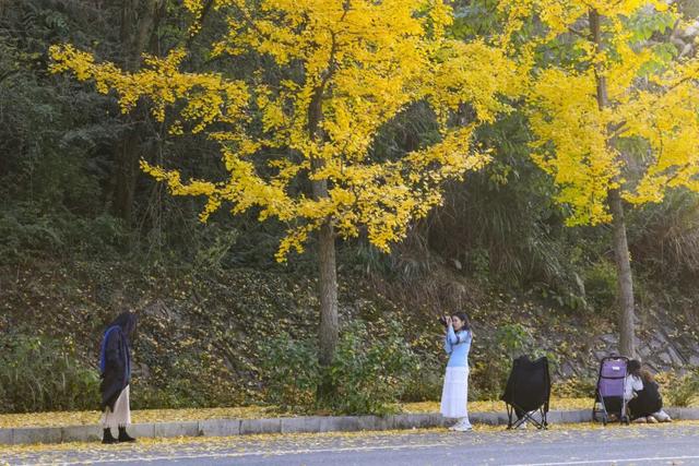 玩转贵安丨贵安初冬限定美景，给你“好看”！