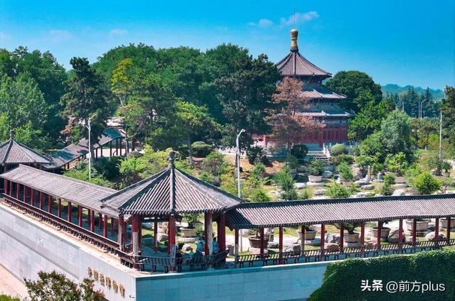 中国唐苑：盛夏里的一抹烂漫绿意