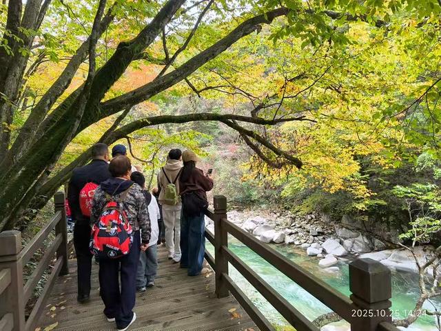 排队游览光雾山