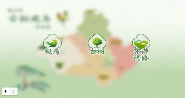 古树观鸟“宝藏图鉴”,带您指尖出发!解码年轮密码,捕捉飞鸟轨迹~ | 皖美夏日