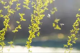 兄弟姐妹间最狠的不是吵架，而是这4件事，刀刀扎穿人心！图片