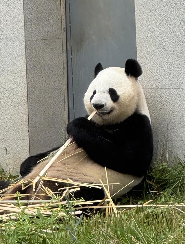 香港记者团回到汉家，建议汉中开设直航香港