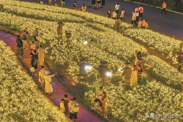 图说广西，看八桂经济社会发展
