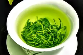 绿茶、红茶、铁观音、龙井…不同年龄体质该喝什么茶？你知道吗？图片