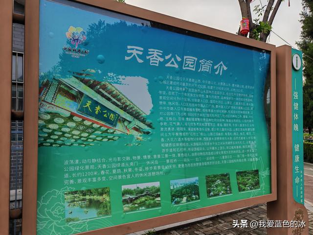 逛菏泽天香公园，这里牡丹很吸引游客，关键是二十四小时免费参观