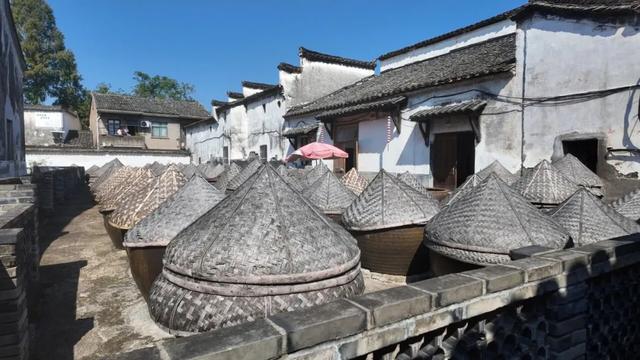 体荟四季｜动起来才好玩！收好这份长三角非遗运动打卡旅游攻略