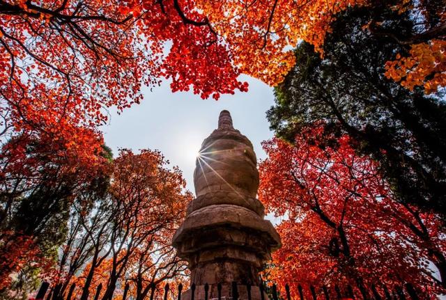 最新实拍！潍坊这里迎来“全红时刻”！