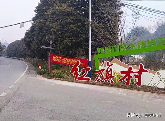 成都山地红梅开花了，粉红云霞铺天盖地，非常震撼，免费！