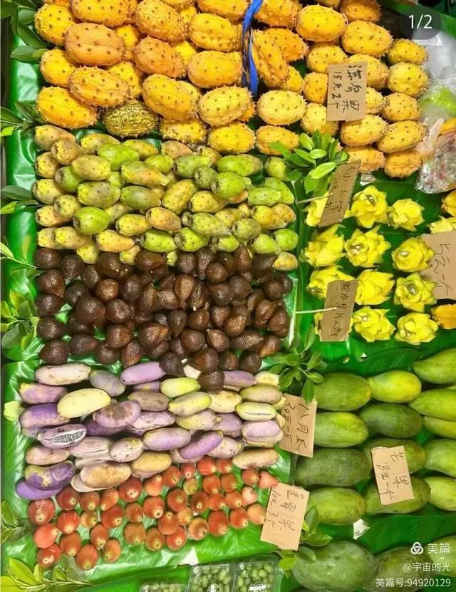 被世界推荐的旅游圣地~西双版纳之行随想