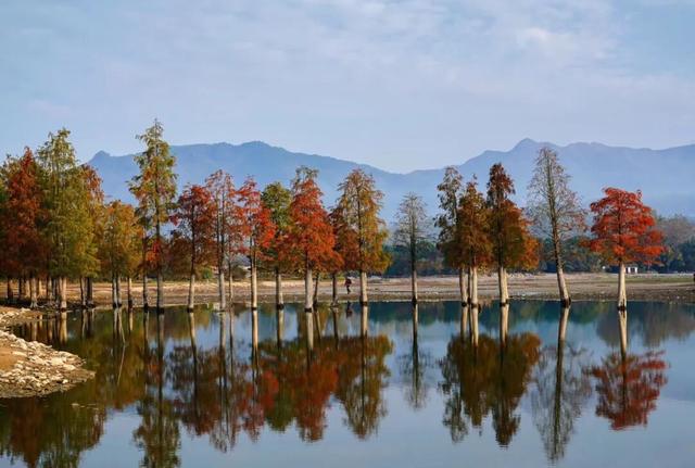 秋韵黟川·山水秘境颐养之旅 | 皖美秋日