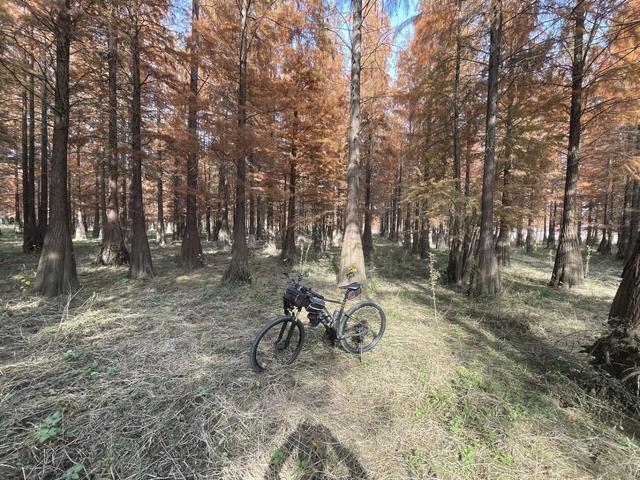 骑游来安半塔釜山水库池杉林生态园攻略