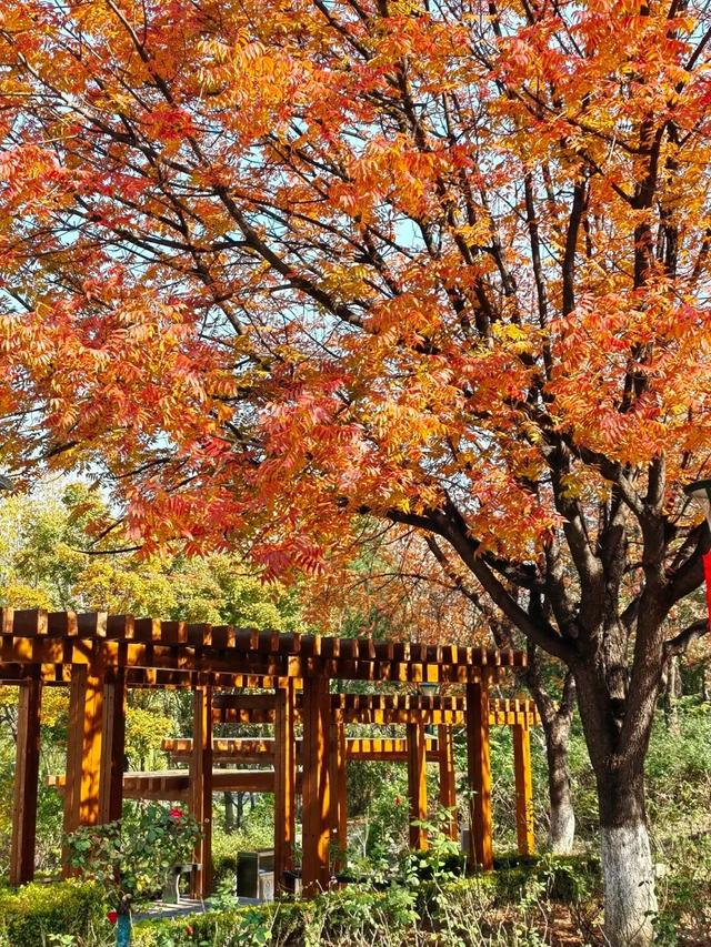 我捡，我捡，我在潍坊捡捡捡！