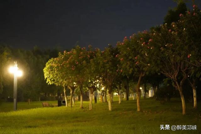聆听邛崃丨一城芙蓉色，“醉美”是邛崃