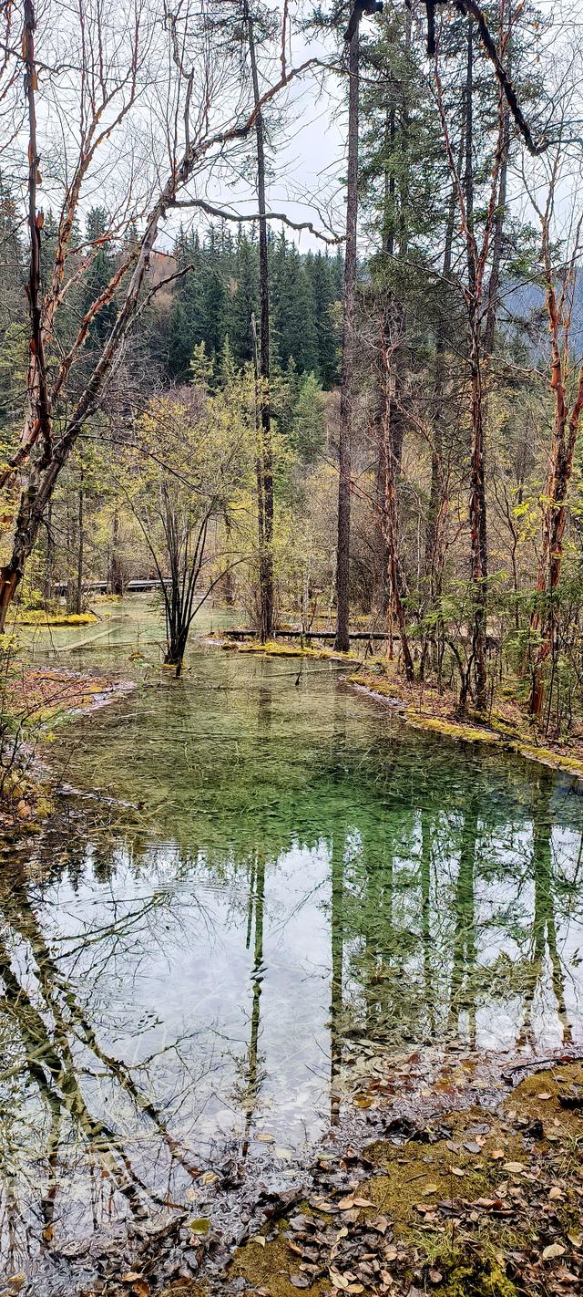 神仙池（一）竖幅