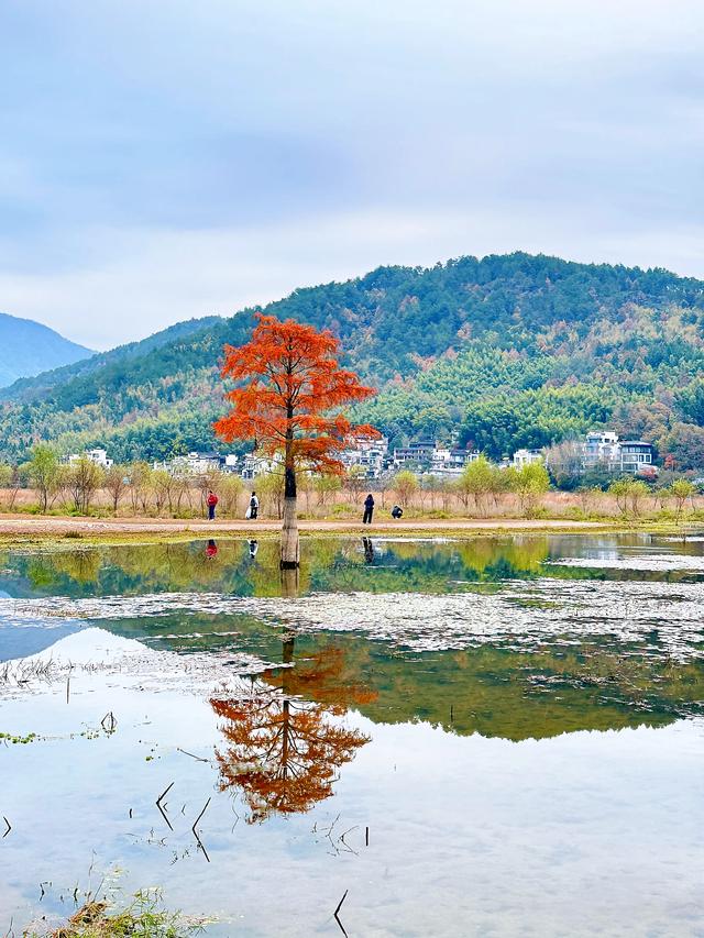 等待日出（黟县宏村镇卢村与奇墅湖）