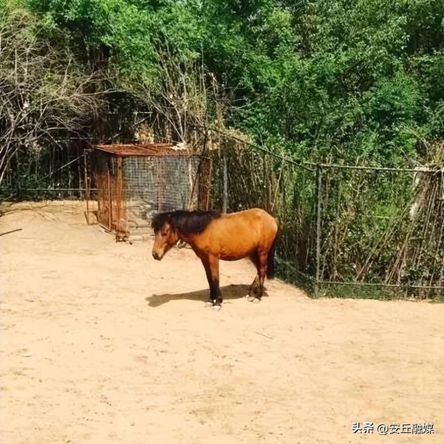 收藏贴！带您玩转潍坊的湖光水色
