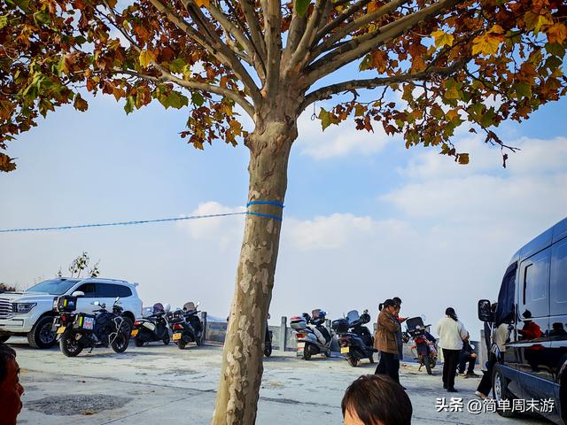 18）秋日巩义行：八公里赴一场银杏之约，大锅菜暖透半日闲