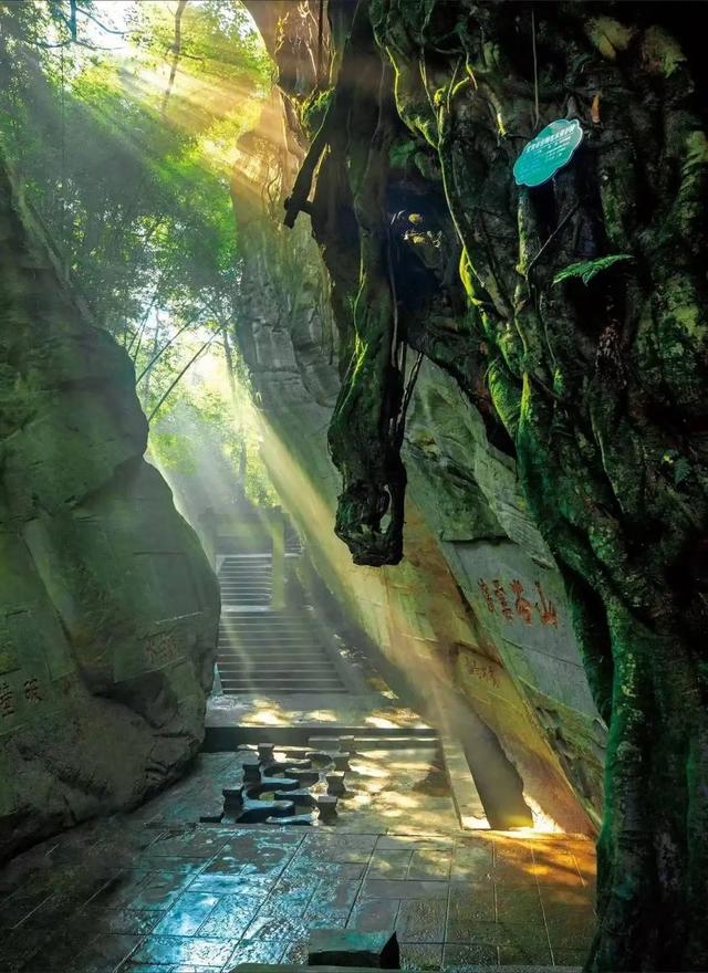 2025宜宾暑期旅游季④ | 沉浸式"醉"游记！九龙坛探秘、安乐泉品韵、酒圣山打卡！