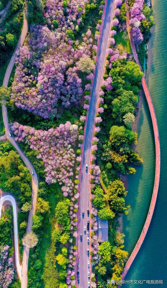 你没眼花！现在给你的是《2026放假安排（柳州版）》！速转存了解！