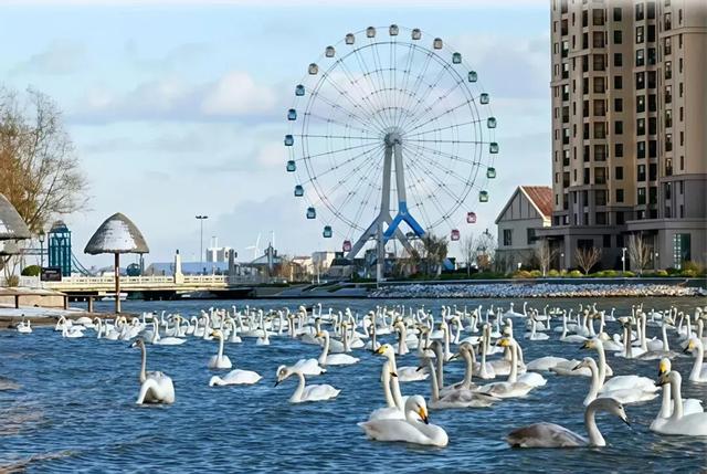 没有保持苹果肌扁平的义务，威海这个“雪窝子”太好玩了！