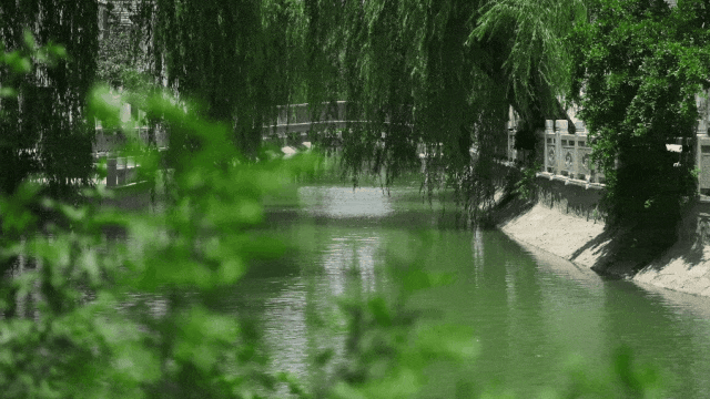 从历史中“长”出未来！扬州这条河正在“逆生长”