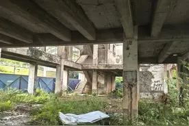 “废墟探险”吸引年轻人打卡，背后暗藏风险！图片