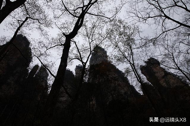 张家界国家森林公园的自然诗篇