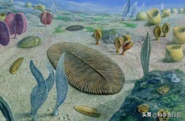 地球是个巨大的培养皿？失败品被一键清除？神秘的埃迪卡拉生物