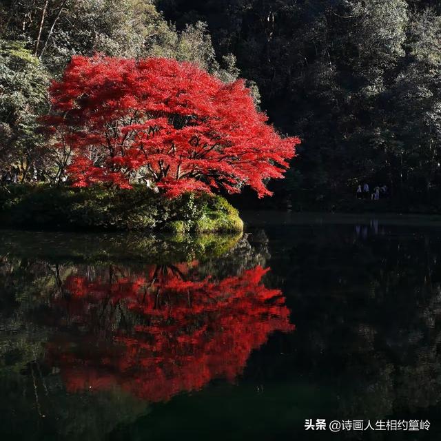 旅行就像是在开“盲盒”，随时有惊喜，你觉得呢？