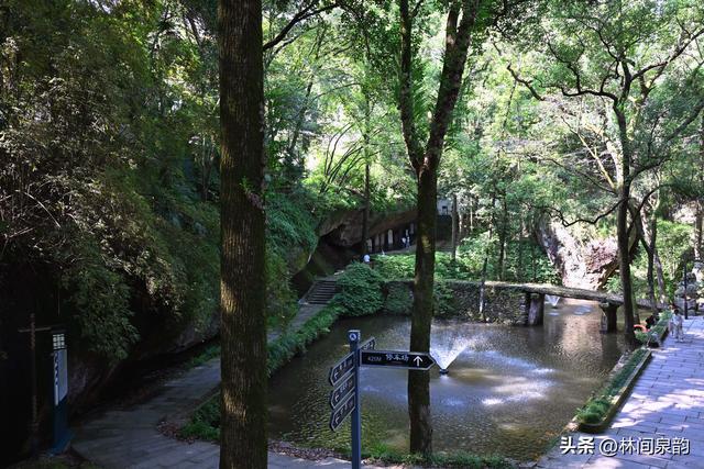 南明山，一座留下名家传说与摩崖题刻的文化名山，让人流连忘返
