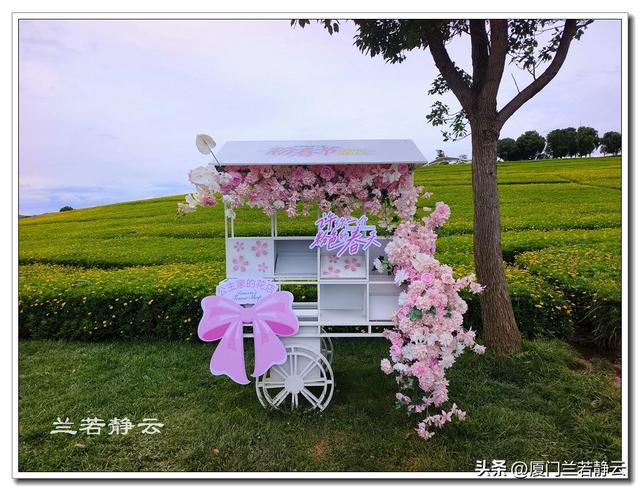云南弥勒：太平湖森林公园的大地艺术作品