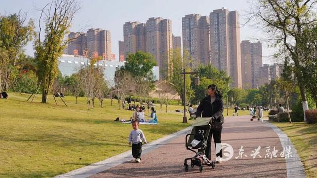 来东兴花萼湿地，感受城市的绿韵时光