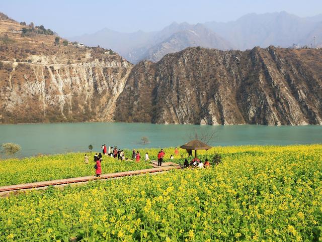 别等春天！陇南的冬日密语里，藏着限定版春日烂漫
