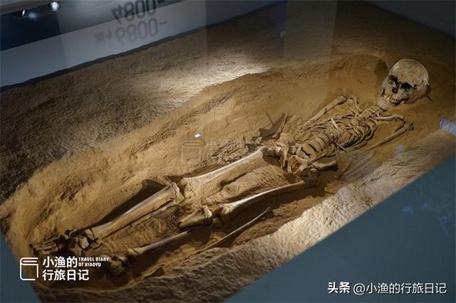 第一次逛博物馆被吓到！7000年前少女，遭百人残害，历史真相为何