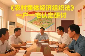 《农村集体经济组织法》实施后如何开展一户一宅认定和宅基地审批图片