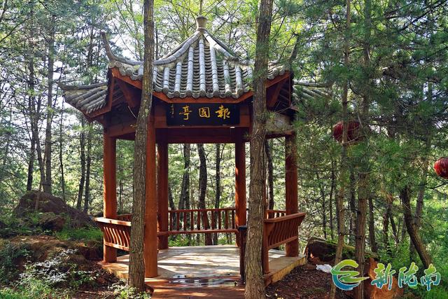 武都米仓山红石崖：藏于密林的避暑秘境