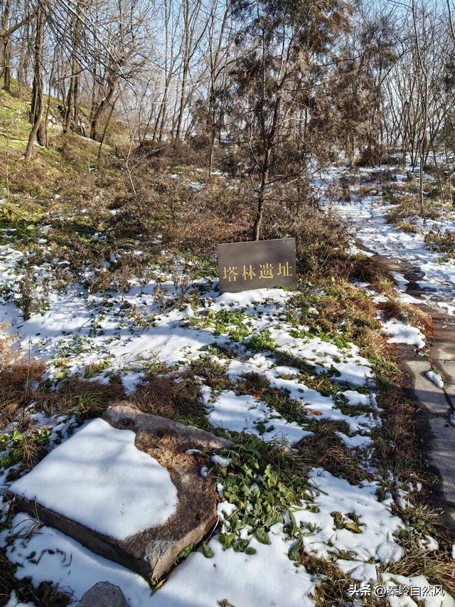 雪后初霁登顶嵯峨山，走荒野雪原，看千年悟空塔，感受历史的烟云