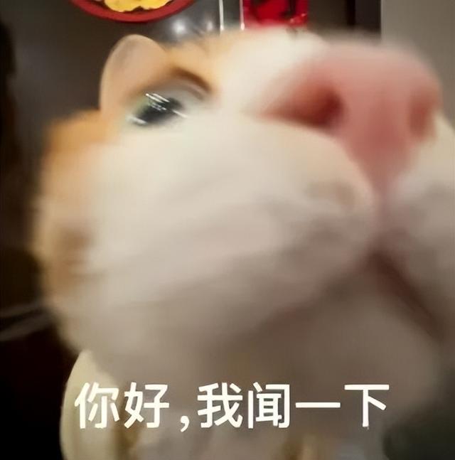 花漾邛州 | 秋意浓，满城桂雨润临邛
