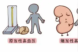 四大便宜好用的降压的中成药，你知道几个图片