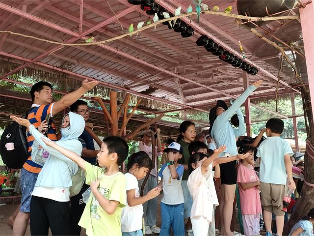 徒步溯溪、挖笋捕鱼，解锁蝴蝶谷生态密码！
