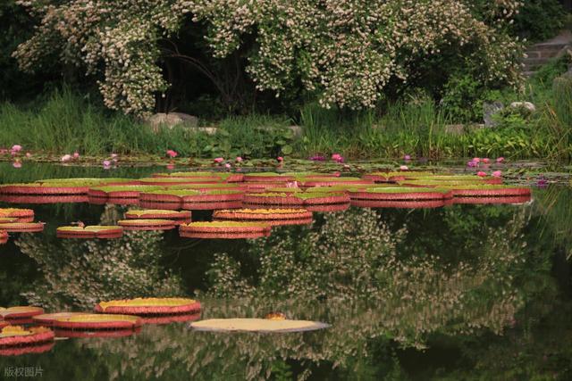 60岁之后一定要去一次！北京对老人免票的20+景点，不花钱还好玩