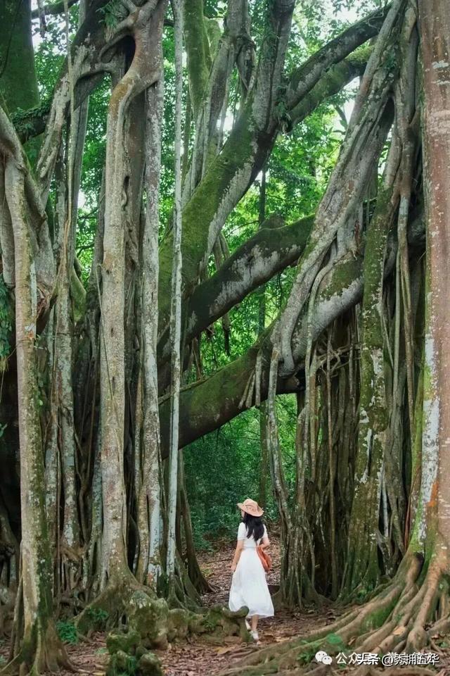 旅居云南｜德宏，是你安放身心、享受生活的最佳过冬地！