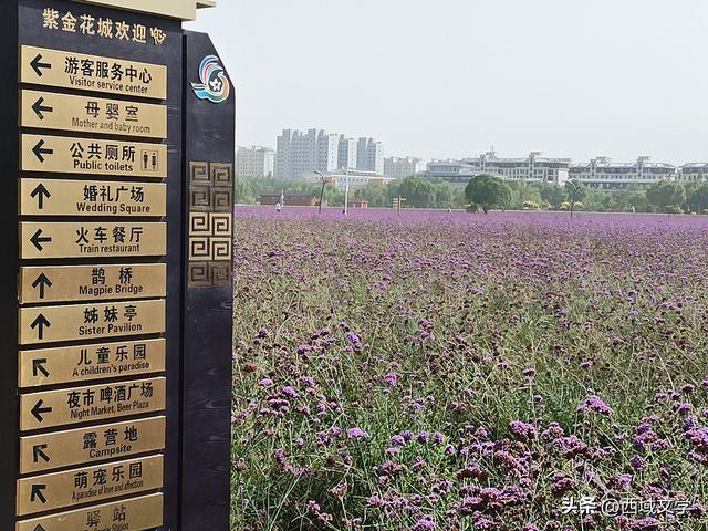 散文写人生｜寻踪河西 金昌行记 文图/张耀宇