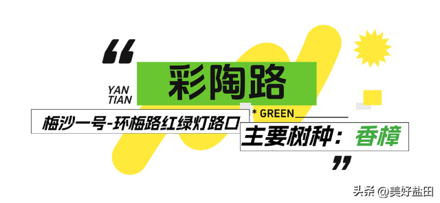 盐田林荫道，永远是封神的存在