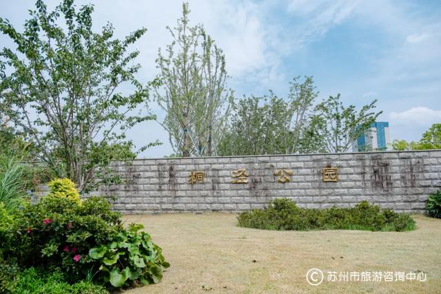 夏日清晨,在桐泾公园邂逅向日葵花海与童话小屋