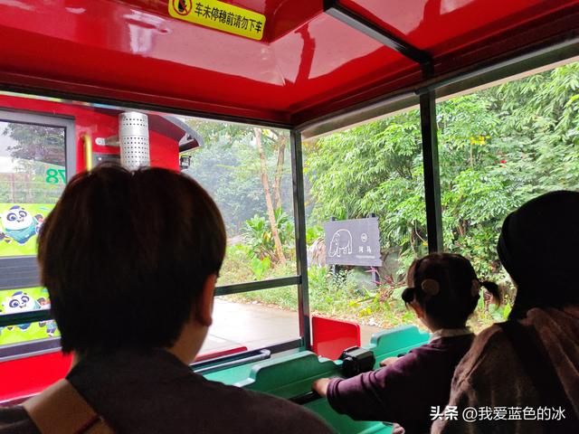 参观广州长隆野生动物园，全程感觉眼累手累腿不累